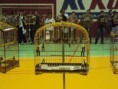 /album/fotos-torneio-14-08-11-parte-2/a14-08-11-79-jpg/